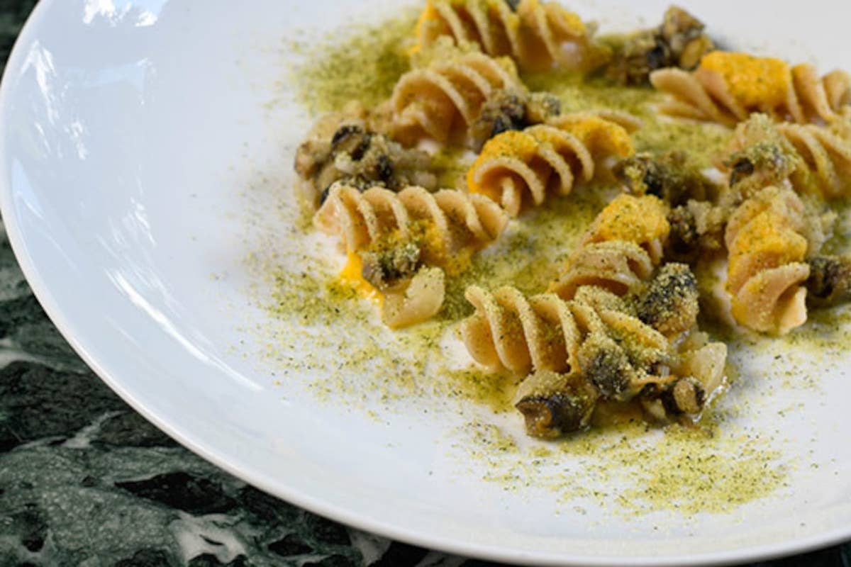 Fusilli integrali, nespole fermentate, pane al finocchietto, garusoli di mare e nervetti di manzo A Casa Mazzucchelli di Sasso Marconi l'alta cucina si fonde con l'arte bianca